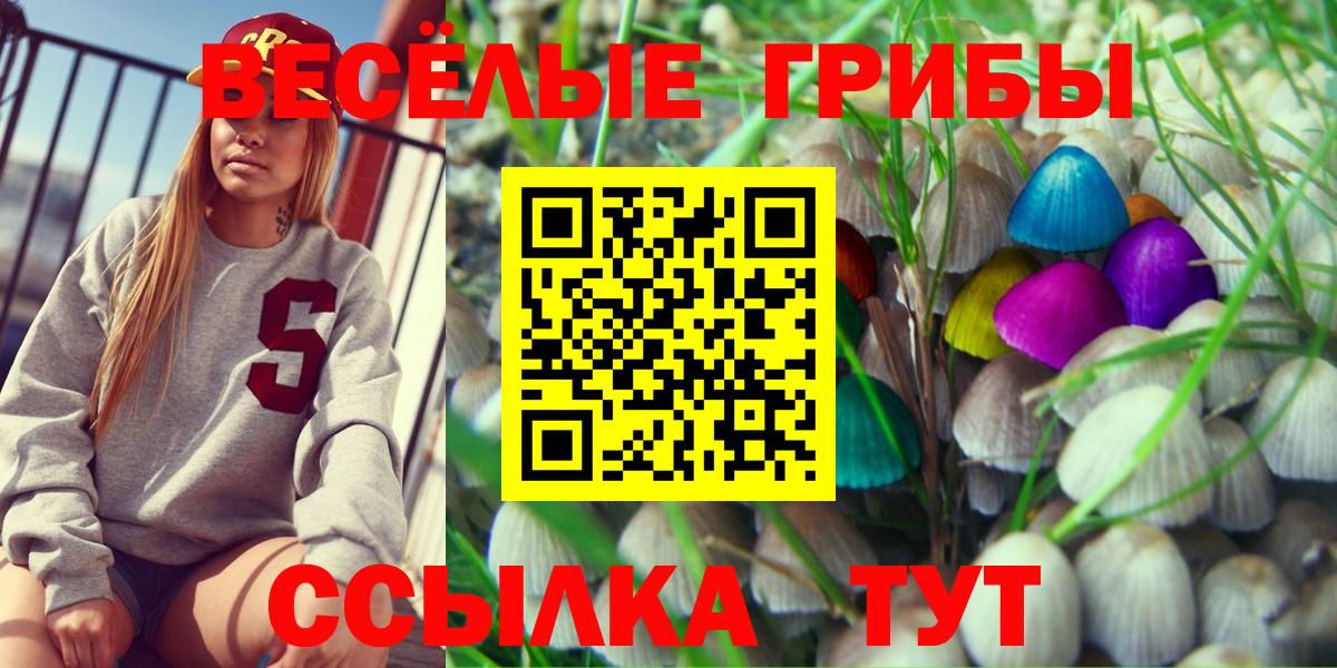 Галлюциногенные грибы Magic Shrooms  Вход с VPN  Галлюциногенные грибы GOLDEN TEACHER  Курск 
